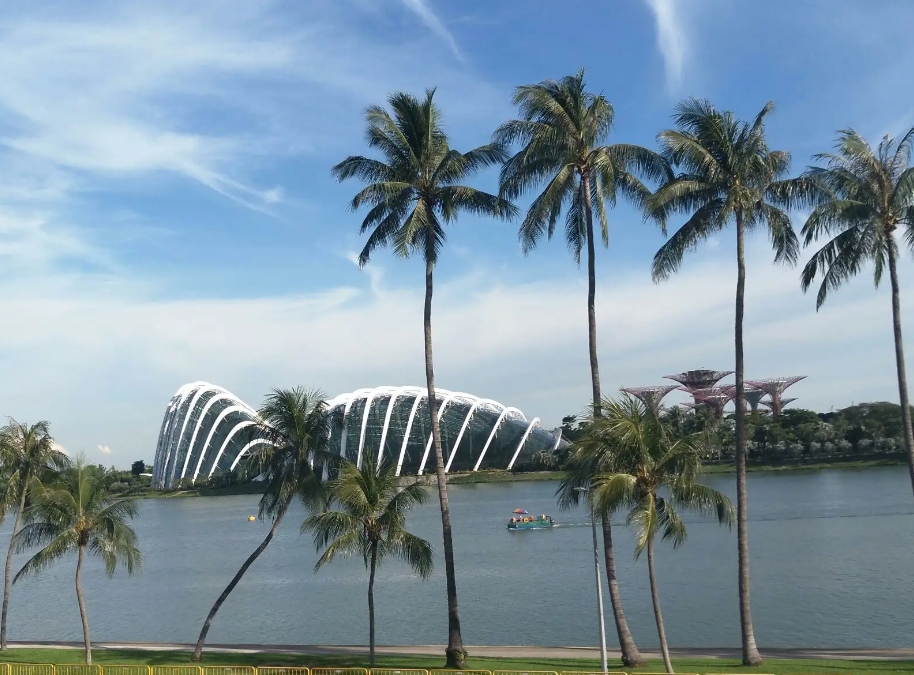 新加波勞務(wù)派遣鴻躍國(guó)際：夢(mèng)想與現(xiàn)實(shí)之間的完美橋梁！